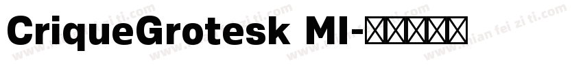 CriqueGrotesk MI字体转换